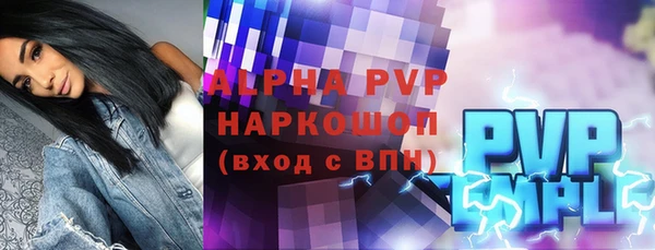индика Гусиноозёрск