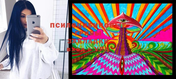 винт Горно-Алтайск