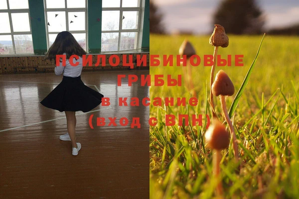 индика Гусиноозёрск