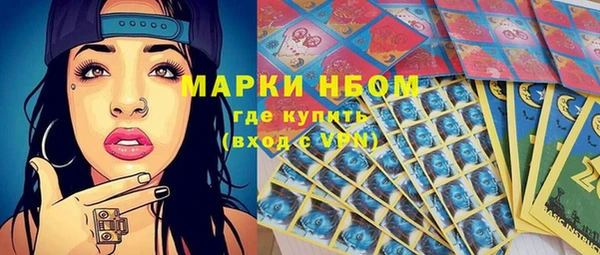 индика Гусиноозёрск