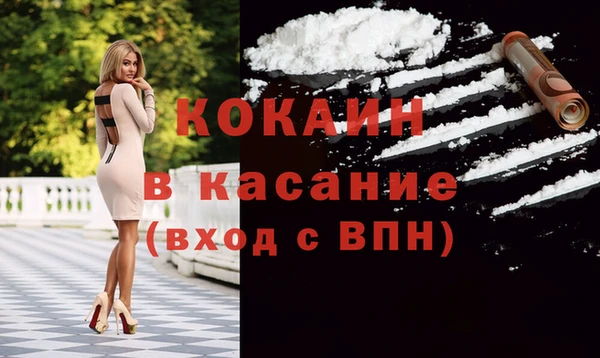 индика Гусиноозёрск