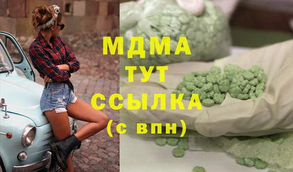 индика Гусиноозёрск