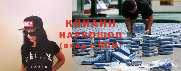 индика Гусиноозёрск