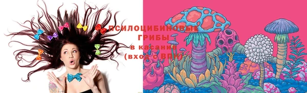 винт Горно-Алтайск