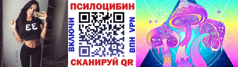 где продают   Дзержинский  Псилоцибиновые грибы Psilocybe 